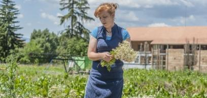 Mária-kert Csíksomlyón a belső békéért