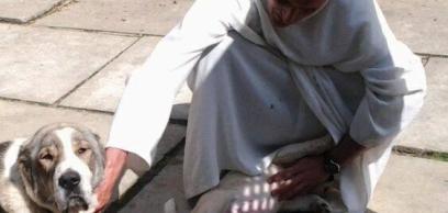 Egy éve visszatértek a pálosok Erdélybe