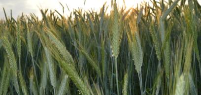 Álmodjuk és tervezzük jövőnket Istennel 