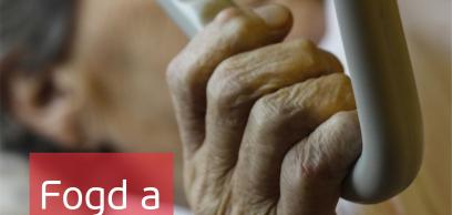 Árpád-házi Szent Erzsébet-napi gyűjtésre érseki felhívás