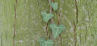 Az ígérettől a beteljesülésig