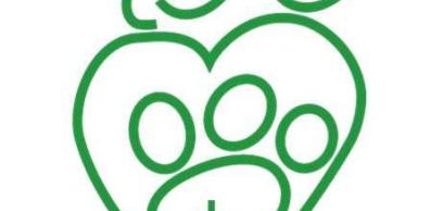 Szent Család vasárnapi gyűjtés a családpasztoráció támogatására 