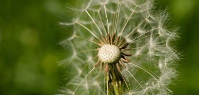 Csak Isten képes életet adni 