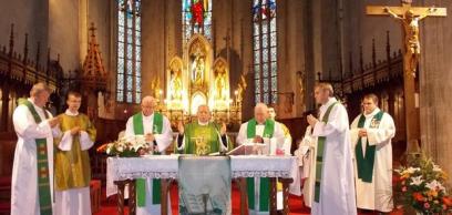 Gyárfás Elemér: unokája valamint a történészek szemszögéből