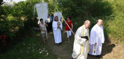 Amikor a szót tett követi