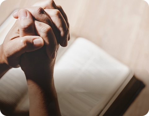 Pastoral Year