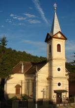 Búzásbesenyő