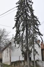 Kolozsvár